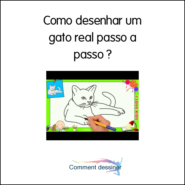 Como Desenhar Um Gato Real Passo A Passo Como Desenhar